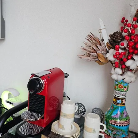 Meublé à Louer à Pensión 4*